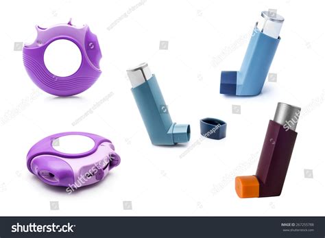 Asthma Inhalers Set Inhalers Treatment Bronchial Stock Photo 267255788 ...