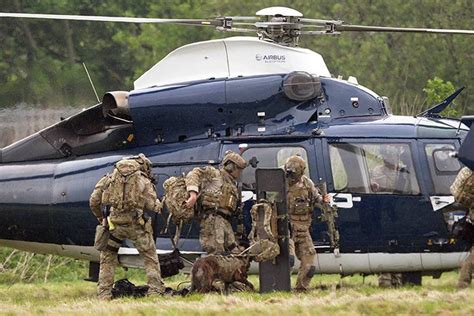 some soldiers are standing in front of a helicopter with a dog on the ground next to it