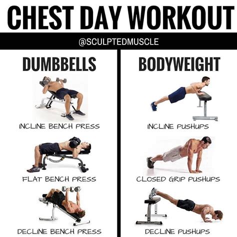 CHEST DAY WORKOUT - The chest was a muscle group that I struggled with ...