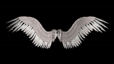 New Angel Wings by shadavar-stock on DeviantArt