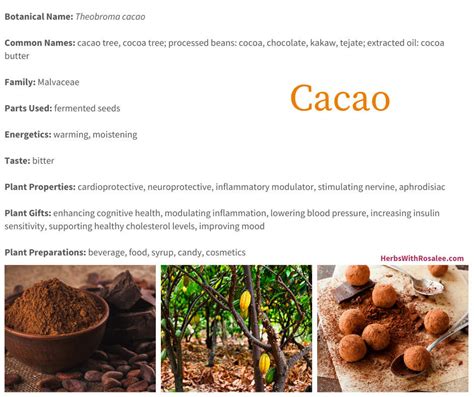 Cacao Benefits