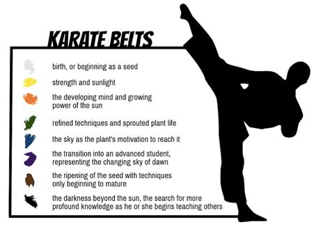 Best Of karate moves black belt Karate belt kids kick success means lee ...