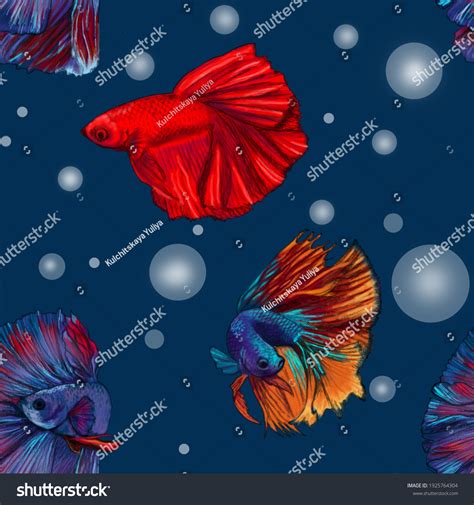 Background Ikan Hias - 58+ Koleksi Gambar