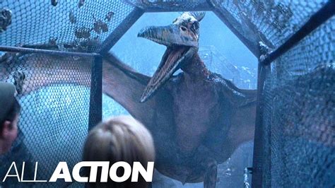 Escaping the Pteranodon Cage | Jurassic Park 3 | All Action - YouTube