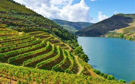 Exploring the Douro Valley Walking Holiday - Walking Holidays in Portugal