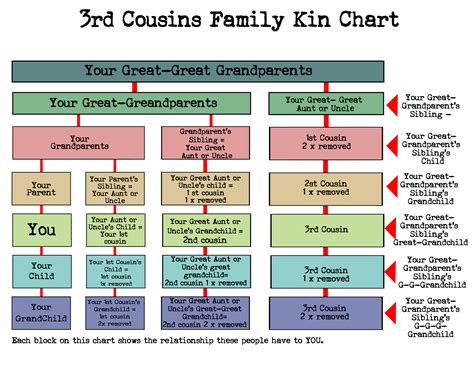 Family Tree Relationship Chart Cousins