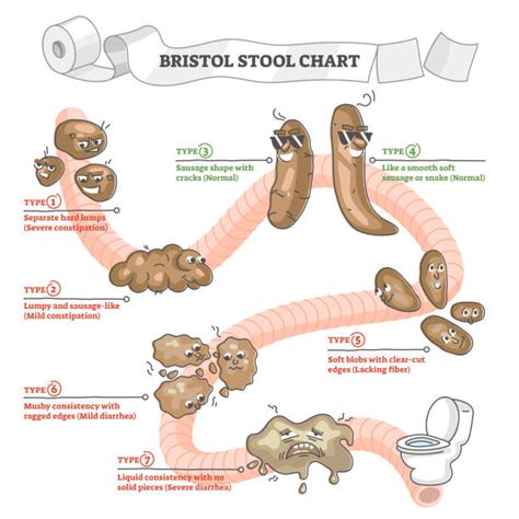 Stool In Toilet Illustrations, Royalty-Free Vector Graphics & Clip Art ...