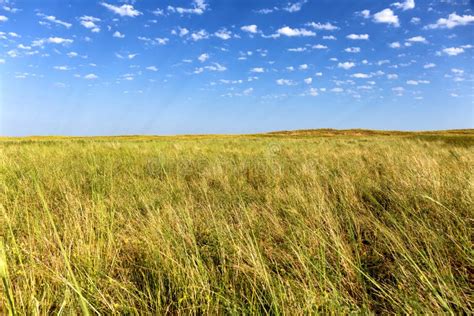 Great Kazakh steppe stock image. Image of cloud, morning - 69665881