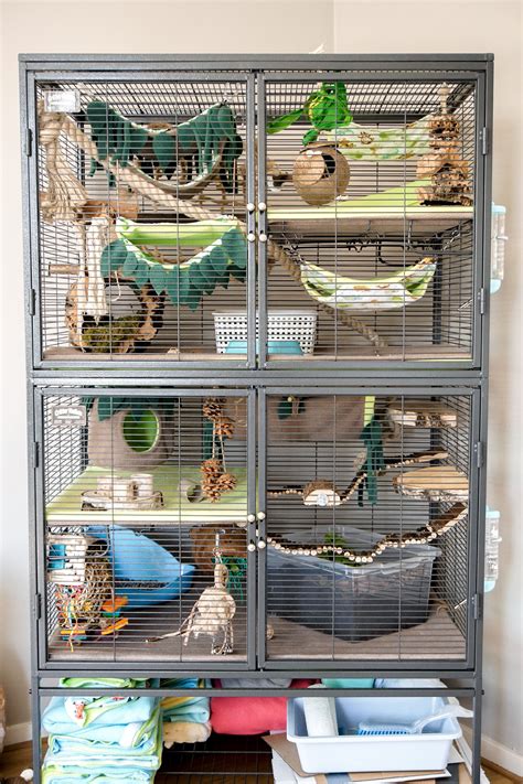 homemade rat cage ideas - Steadfast Podcast Bildergallerie