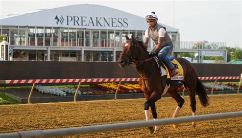 Preakness Stakes Preview: Triple Crown To Come For Mage?