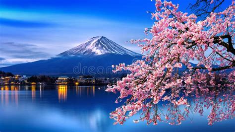 Fuji Mountain and Cherry Blossoms in Spring, Japan Stock Image - Image of landmark, cherry ...