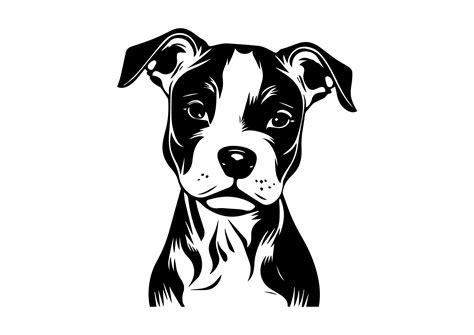 "PITBULL SVG, PITBULL Clipart, Pitbull Svg Files For Cricut, Pitbull Silhouette Svg, American ...