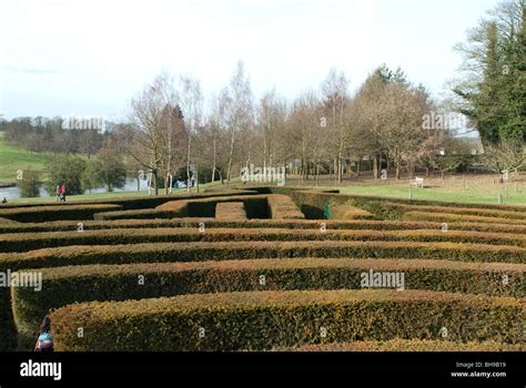 The Maze at Leeds Castle Stock Photo - Alamy