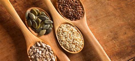 5 Edible Seeds and their benefits | Fit Foodies Mantra