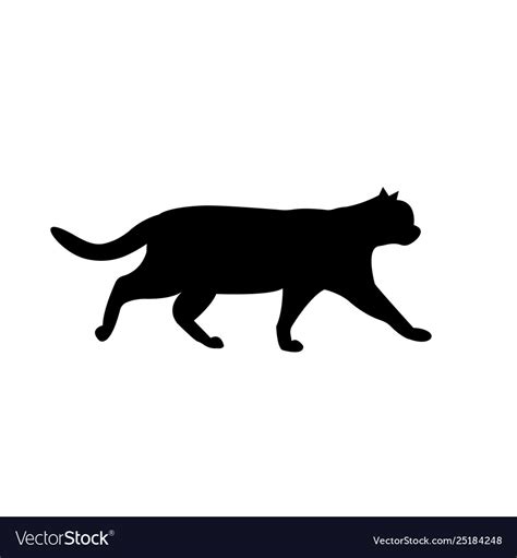 Walking black cat silhouette on white Royalty Free Vector