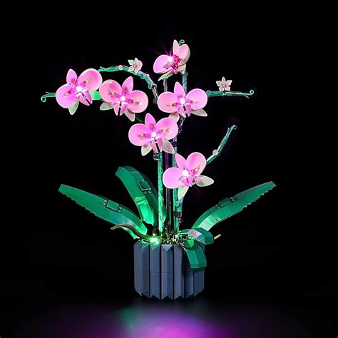 Amazon.com: GEAMENT LED Light Kit Compatible with Lego Orchid ...