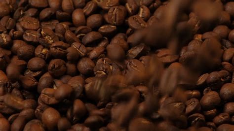 Slow motion of roasted coffee beans falling. Organic coffee seeds. 17111446 Stock Video at Vecteezy