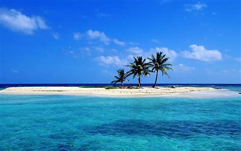 Lonely sandy beach wallpaper - Beach Wallpapers