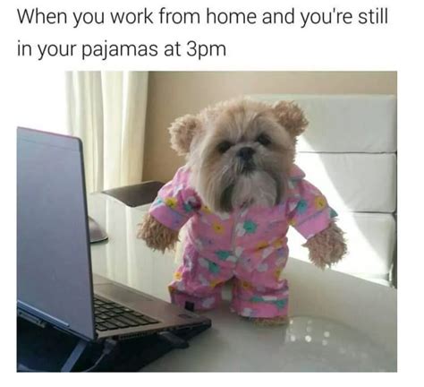 16 working from home memes that will make you smile — Loumee