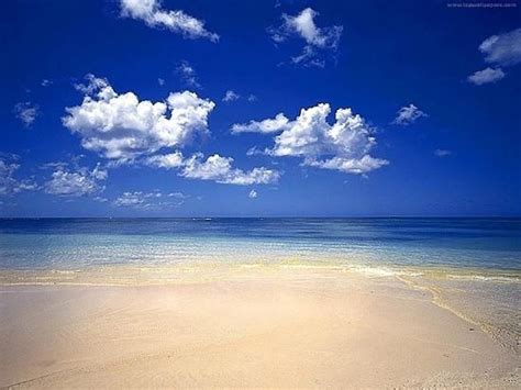 Siesta Key Beach Wallpaper - WallpaperSafari