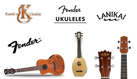 8 Best Ukulele Brands for Professionals - MusicalHow