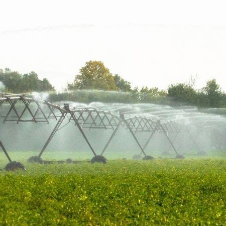 Advantages and Disadvantages of Centre Pivot Irrigation - Veggie Grow