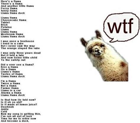 Llama Song Lyrics | The Llama Song | Know Your Meme