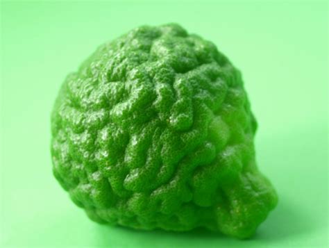 Bergamot Fruit Free Stock Photo - Public Domain Pictures