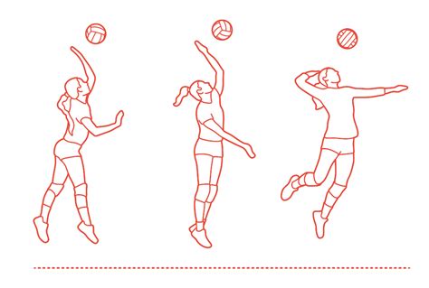 Volleyball Jump Serve Dimensions & Drawings | Dimensions.com