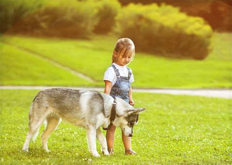 How to Teach Kids Safe Behavior around Dogs