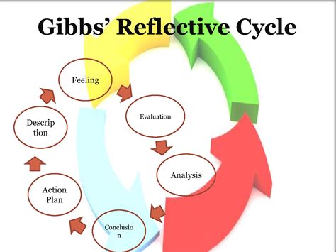 SOLUTION: Gibbs' Reflective Cycle the 6 stages - Studypool