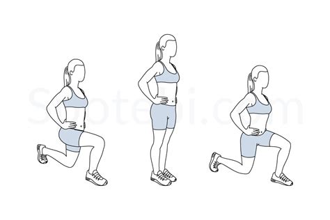 Front And Back Lunges | Illustrated Exercise Guide