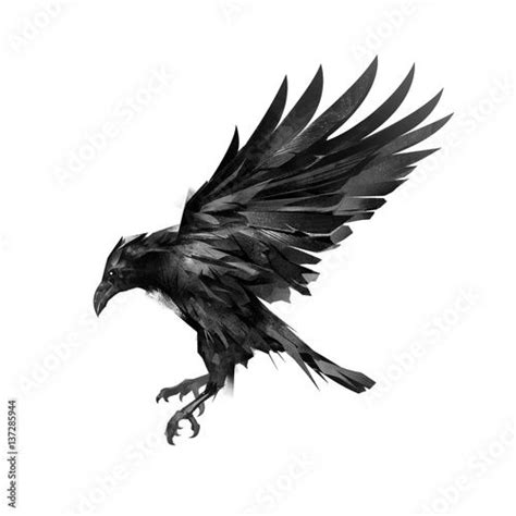 drawing a sketch of a flying black crow on a white background in 2024 | Crow tattoo design ...