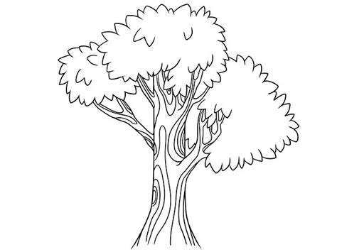 Free Simple Tree Drawings, Download Free Simple Tree Drawings png images, Free ClipArts on ...