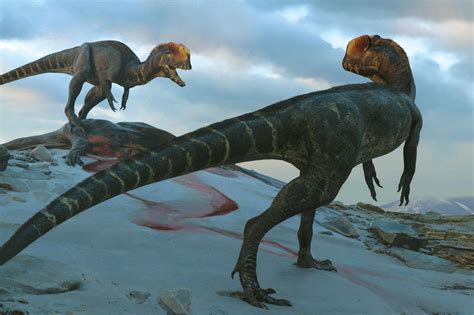 The Real Dilophosaurus Would Have Eaten the Jurassic Park Version for Breakfast - Media News 48