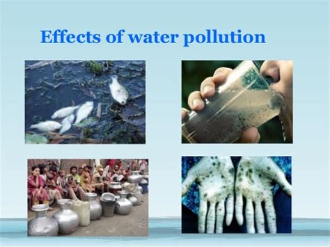 16 Water Pollution Facts - Causes, Effects, Prevention & More | Facts.net