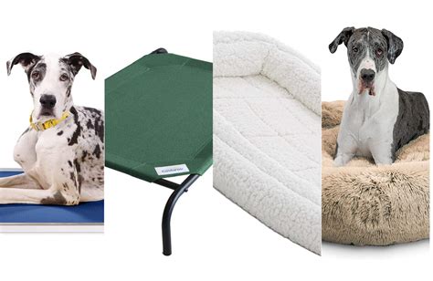 The best dog beds for large dogs in 2023 - Trendradars Latest