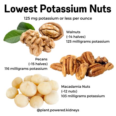 Potassium in Nuts: How You Can Eat Nuts on a Renal Diet