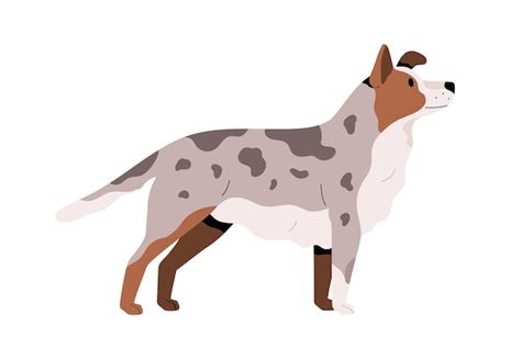 Premium Vector | Side view of cute adult dog. pretty doggy with spotty ...