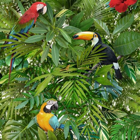 Tropical Jungle Wallpaper Leaf Palm Leaves Trees Birds Parrots Wild Colourful | eBay