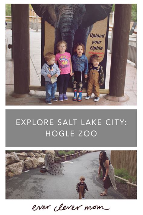 Ever Clever Mom - Explore Salt Lake City: Hogle Zoo