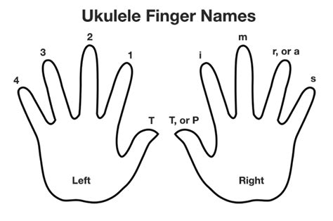 Learning the Ukulele - Personal Musicianship Project