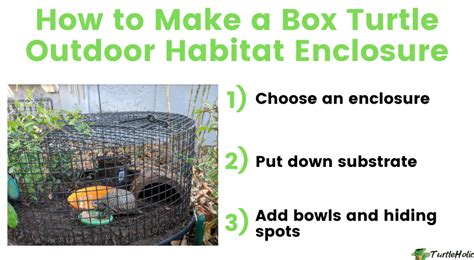 How to Make a Box Turtle Outdoor Habitat Enclosure - TurtleHolic