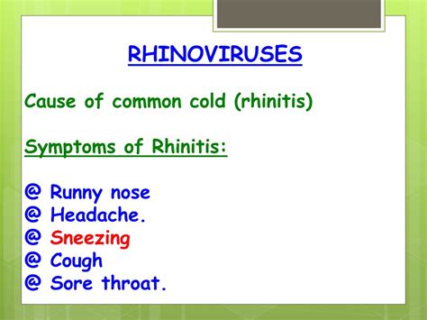 PPT - RHINOVIRUSES Cause of common cold (rhinitis) Symptoms of Rhinitis: @ Runny nose @ Headache ...