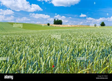 summer country landscape in France Stock Photo - Alamy