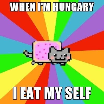 Nyan Cat meme 3 – EntertainmentMesh