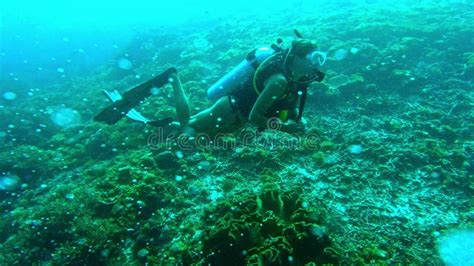 Female Scuba Diver Underwater. Woman in Scuba Diving Mask in Water ...