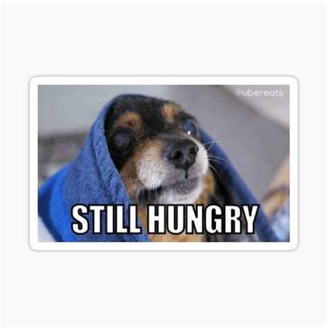 "Still Hungry Dog Meme" Sticker for Sale by Katquall | Redbubble