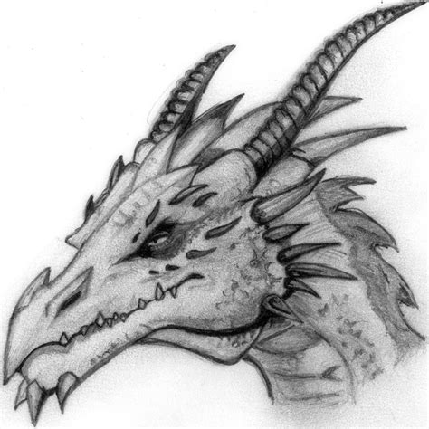 Pics For > Cool Dragon Head Drawings In Pencil | art | Pinterest | Drawings in pencil, Drawings ...