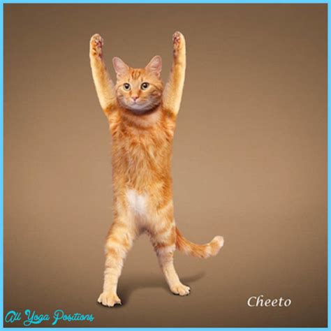 Yoga poses animals - AllYogaPositions.com